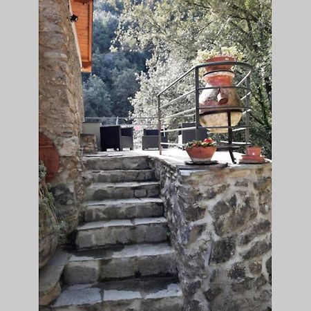 Villa Casa Al Fiume, Fantastic Rustic In Nature Citra 00801-Lt-0011 Airole Exterior foto